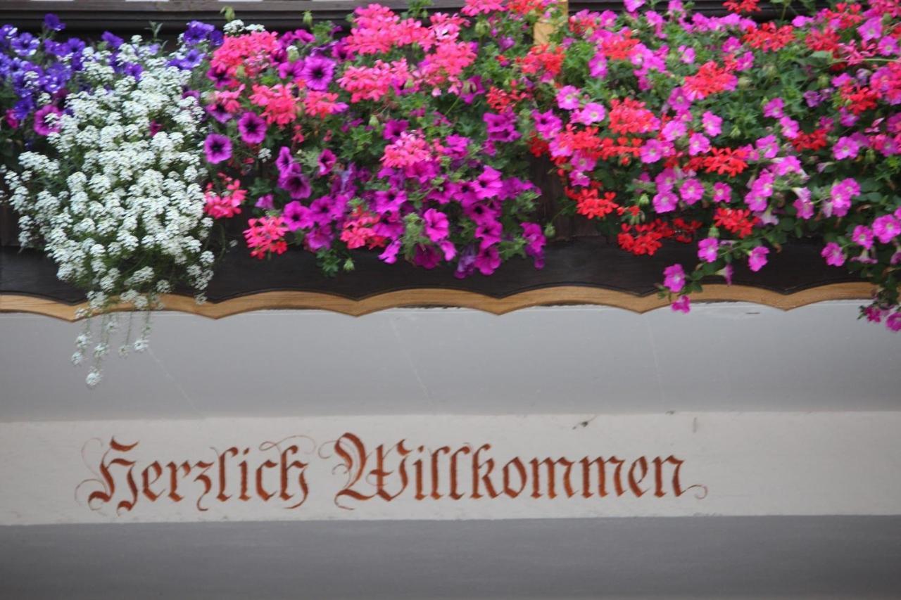 Villa Fetznhof-Zuhaus Grassau  Esterno foto