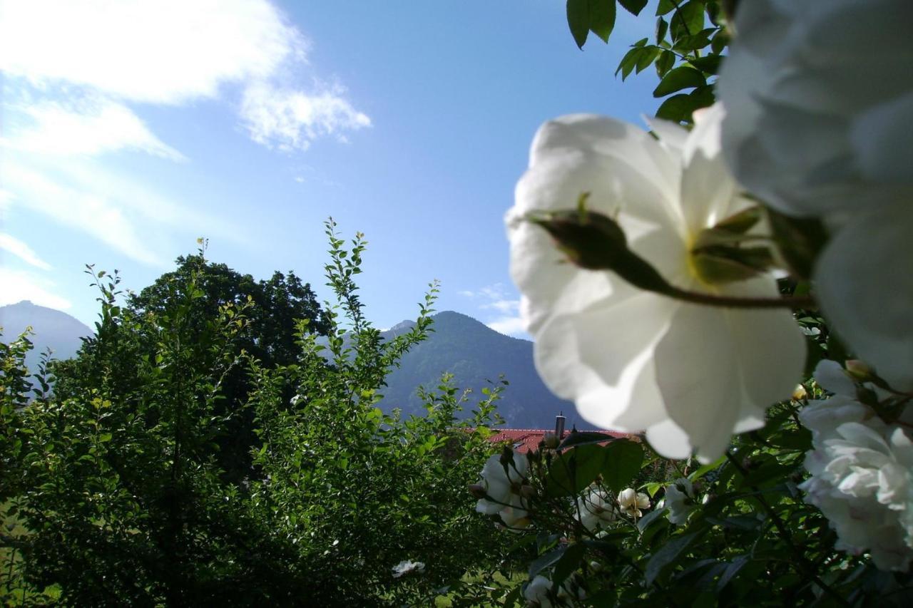 Villa Fetznhof-Zuhaus Grassau  Esterno foto