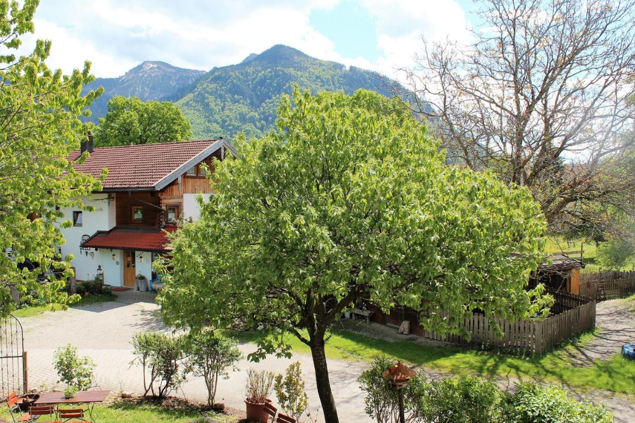 Villa Fetznhof-Zuhaus Grassau  Esterno foto