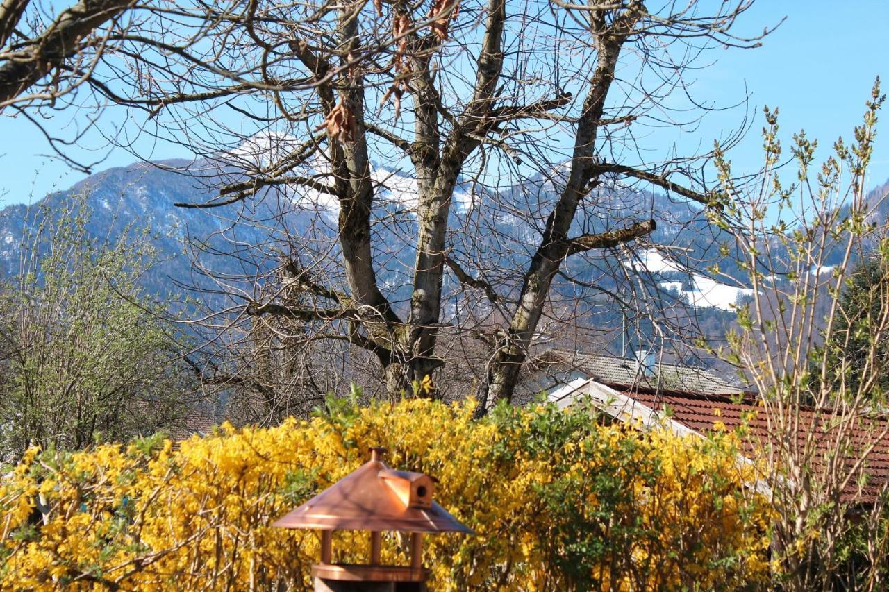 Villa Fetznhof-Zuhaus Grassau  Esterno foto