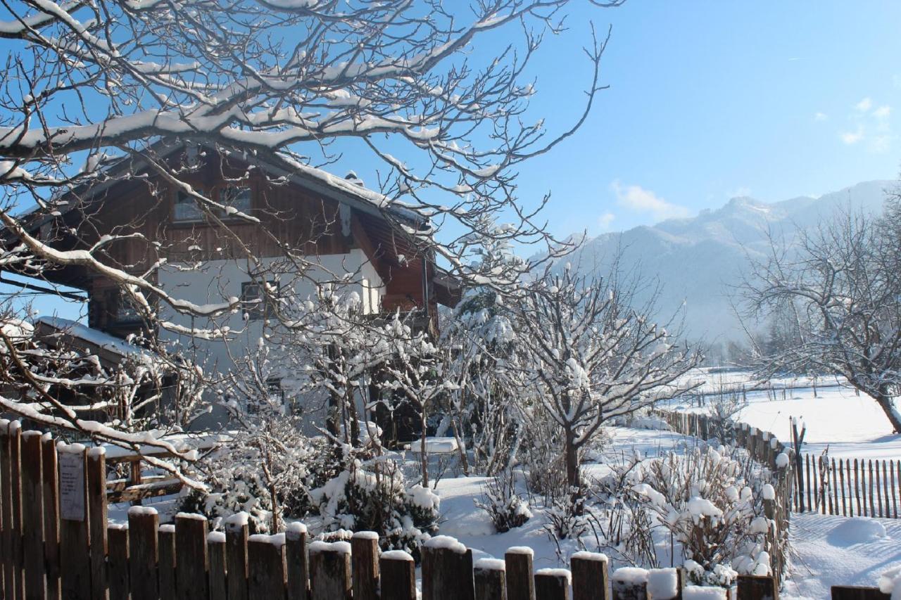 Villa Fetznhof-Zuhaus Grassau  Esterno foto